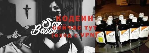spice Богородицк
