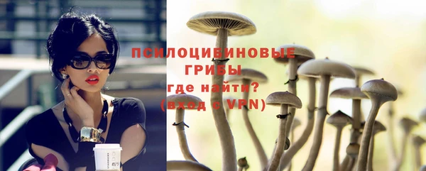 прущие крисы Белоозёрский