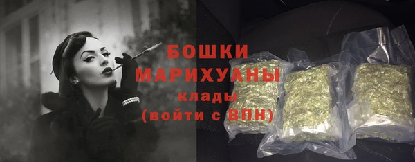 spice Богородицк