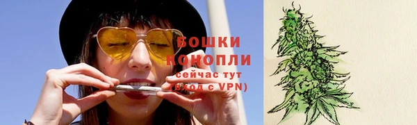прущие крисы Белоозёрский