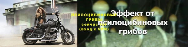 тгк Белокуриха