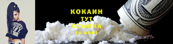 прущий лед Богданович