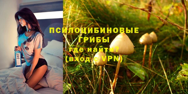прущие крисы Белоозёрский