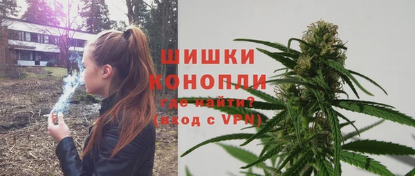 spice Богородицк