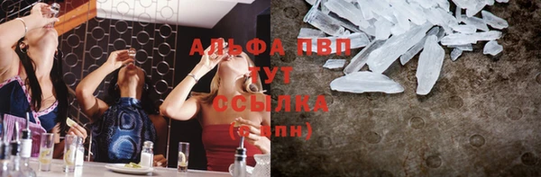 спайс Беломорск