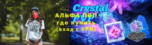 прущий лед Богданович
