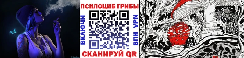 Купить закладки  Дорогобуж  Псилоцибиновые грибы Psilocybe 