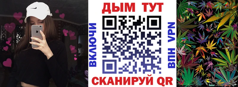 Купить  Дорогобуж  Бошки марихуана марихуана 